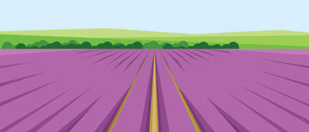 Vector abstract green landscape with pink fields, hills and roads, flat zigzag style.のイラスト素材