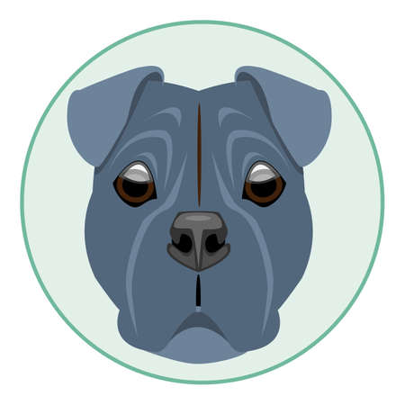 Digital vector boxer dog face, in green circle, flat styleのイラスト素材