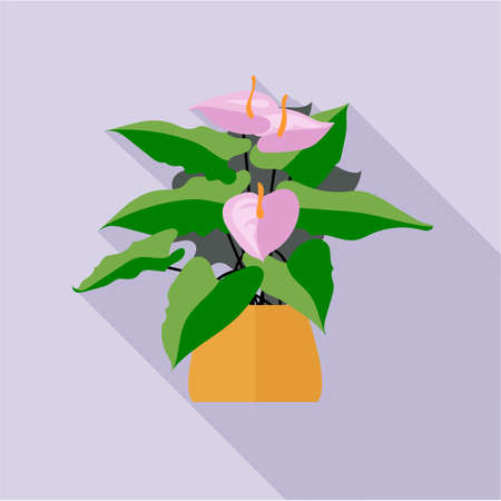 Digital vector green decorative orchid flower blooming with brown pot, flat styleのイラスト素材