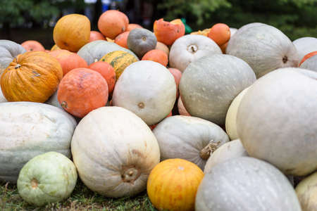 Pile of colored pumpkins and gourds in Moldova, wooden basket and hayの写真素材