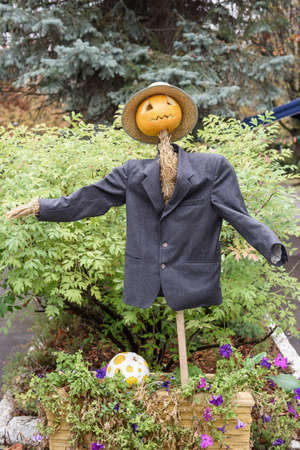 Scarecrow in suit and pumpkin head for halloween.の写真素材