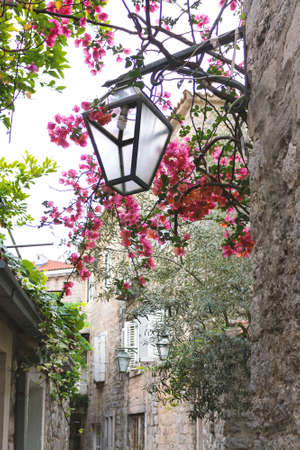 The view of city street with flowers and lantern in budva old town, one of the best preserved medieval cities in the mediterraneanの写真素材