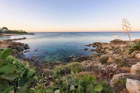 Evening view of sea view with immaculate water and blue sky, rocks, cactus plants and a boat at sunset, protaras, cyprus islandの写真素材