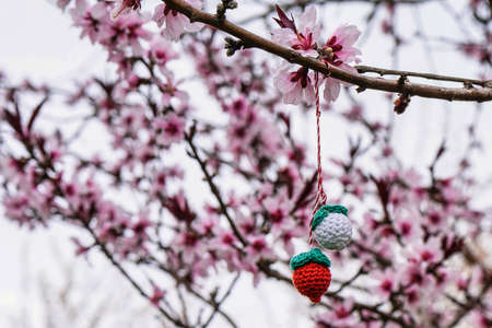 Flowers of the pink tree orchard blossoms on a spring day