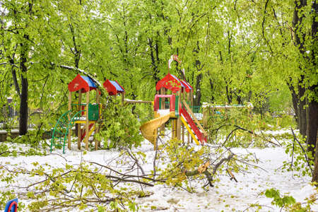 CHISINAU, MOLDOVA - APRIL 21, 2017: Heavy snow on frozen city, spring anomaly, natural cataclysm, falling green trees disaster, general emergency state, exceptional situationのeditorial素材