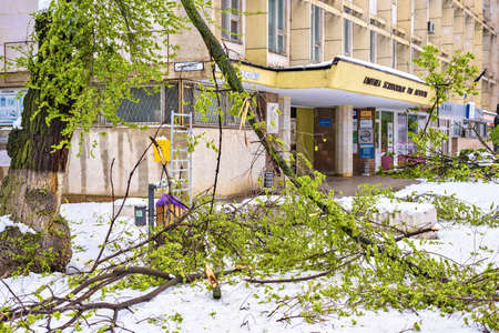 CHISINAU, MOLDOVA - APRIL 21, 2017: Falling tree on electrical wires, heavy snow on frozen city,...