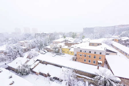 Heavy snow apocalypse in Moldova, frozen Chisinau city, on 20 and 21 of april 2017, spring anomaly, natural cataclysm, falling green trees disaster, general emergency state, exceptional situationの写真素材