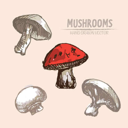 Digital vector color detailed mushrooms hand drawn retro illustration collection set. Thin artistic linear pencil outline. Vintage ink flat style, engraved simple doodle sketches. Isolated objectsのイラスト素材