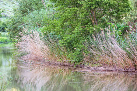 Wonderful landscape with rocks at orheiul vechi memorial in moldova, raut river with reed and reflection in water, sunny day, eco butuceni villageの写真素材