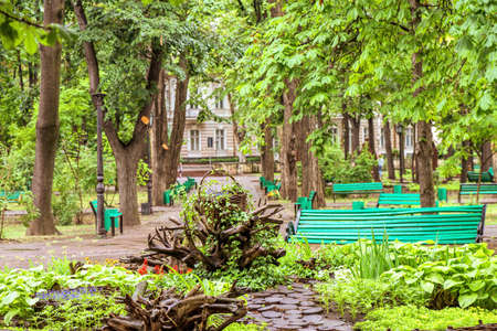 Green central park with flowers in chisinau city centre, rainy day and branches, Moldovaの写真素材