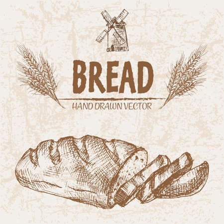 Digital vector detailed line art baked bread and dried wheat hand drawn retro illustration collection set. Thin artistic pencil outline. Vintage ink flat, engraved mill doodle sketches. Isolatedの写真素材