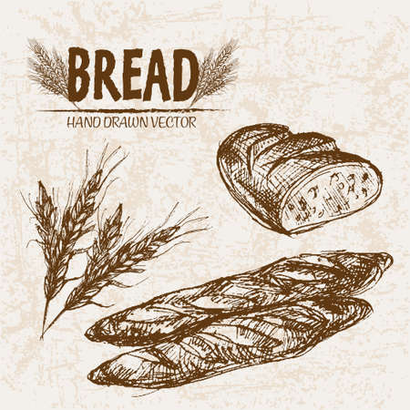 Digital vector detailed line art baked bread and dried wheat hand drawn retro illustration collection set. Thin artistic pencil outline. Vintage ink flat, engraved mill doodle sketches. Isolatedの写真素材