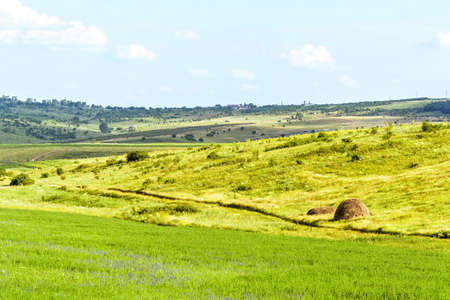 Beautiful green fields landscape with hay grass, hills and forest, fantastic summer time, orhei village countryside, moldova, blue sky, winding roadの写真素材