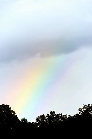 Colored rainbow through dark sky, summer time after the rainの写真素材
