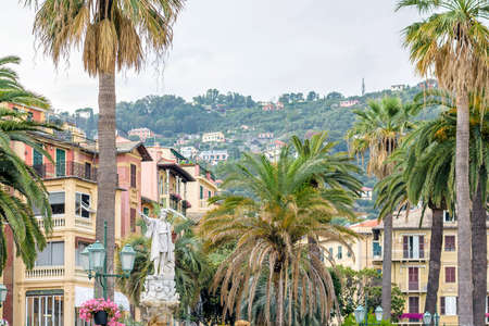 Beautiful round palm trees on streets of Santa Margherita Ligure, Italy. Rainy and cloudy day.の写真素材
