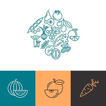 Digital blue vegetable icons set infographics drawn simple line art pattern, onion squash pear orange apple grape carrot walnut peas watermelon cabbage, flat, organic vegetarian foodのイラスト素材