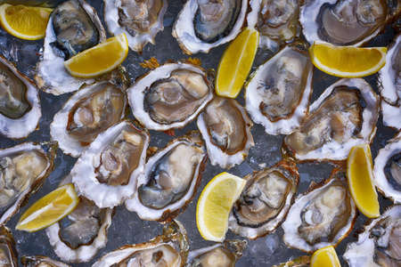 Fresh opened oysters and lemon on ice pattern texture close upの写真素材