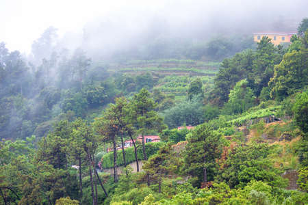 View to fields and buildings on the mountains. Vernazza, Cinque Terre, Italyの写真素材