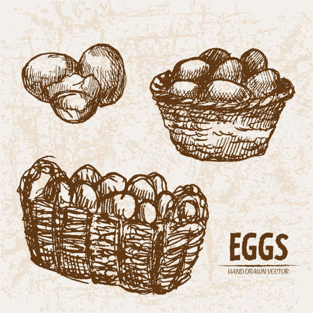 Digital detailed line art eggs in wooden basket hand drawn illustration.のイラスト素材