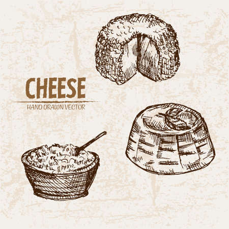 Hand drawn illustration of cheese.のイラスト素材