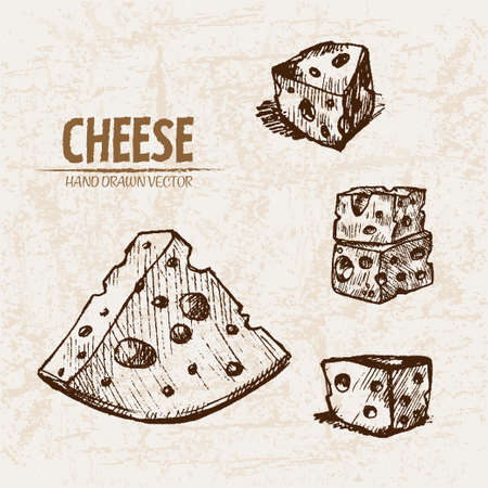 Hand drawn illustration of cheese.のイラスト素材