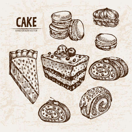 Digital vector detailed line art cake and roll slices with fruits hand drawn retro illustration...