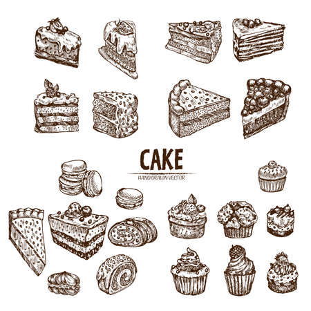 Digital vector detailed line art sliced cake and cupcakes hand drawn retro illustration collection set. Thin artistic pencil outline. Vintage ink flat, engraved design doodle sketchesのイラスト素材