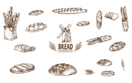 Digital vector detailed line art baked bread and dried wheat hand drawn retro illustration collection set. Thin artistic pencil outline. Vintage ink flat, engraved simple doodle sketches. Isolatedのイラスト素材