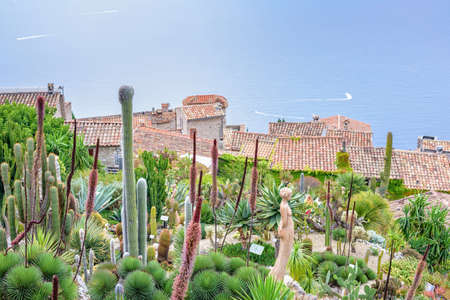 Daylight foggy view to Eze village with botanical garden full of cactuses, bushes and plants....