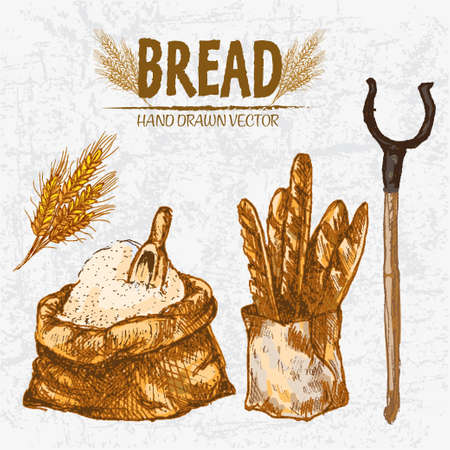Digital color vector detailed line art golden loaves of baguettes in organic bag, sack with flour and scoop, wheat hand drawn set outlined. Vintage ink flat, engraved mill doodle sketches. Isolated illustration.のイラスト素材