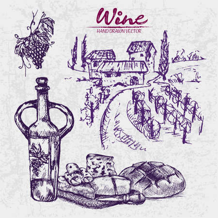 Digital color vector line art vintage wine ancient pitcher, sliced cheese appetizer, knife, grape bunch and round bread hand drawn retro set.のイラスト素材