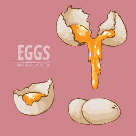 Illustration of split and whole eggs on a pink backgroundのイラスト素材