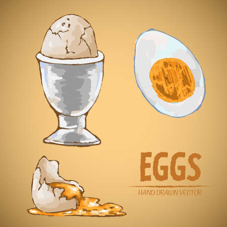 Digital vector detailed line art split, cooked egg in cup hand drawn retro illustration collection set. Thin artistic pencil outline. Vintage ink flat, engraved mill doodle sketches. Isolatedのイラスト素材
