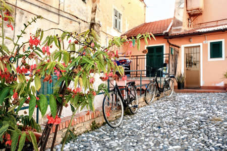 A plant with two bicycles and aged buildings on the background in Sanremo, Italy