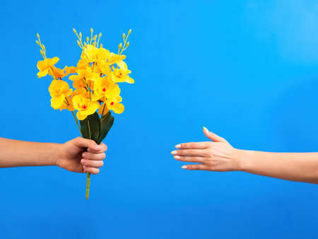 Man giving yellow flowers to a woman on blue background. Two hands. Love concept.の写真素材