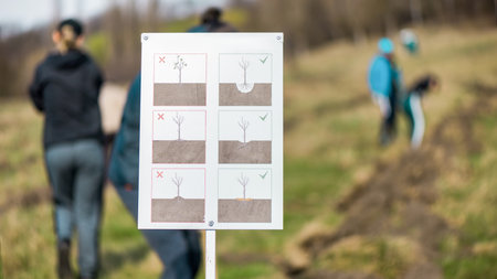 A sign showing how to plant trees correctly in the nature. Volunteers on the backgroundの写真素材