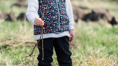 A kid holding tree saplings for planting in the natureの写真素材