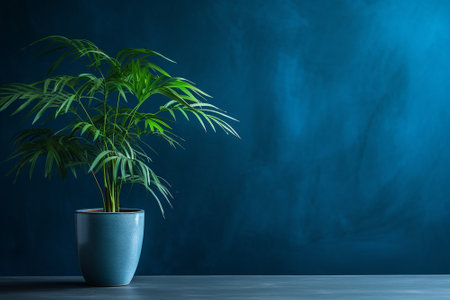 A tropical plant in a pot and a blue wall in the backgroundの素材