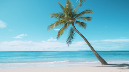 A palm tree on a tropical beachの素材