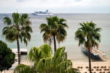 French Riviera beach view with palm treesの写真素材