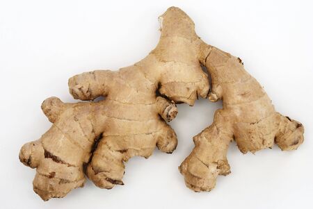 Rhizome of ginger (Zingiber officinale)