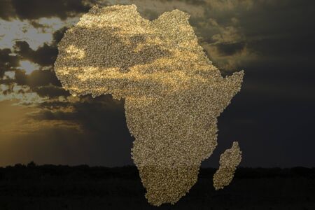 African Map with beansの写真素材