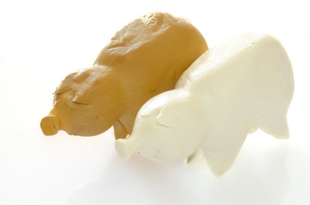 Beautiful cheese arrangement  like a little pig in white backgroundの写真素材