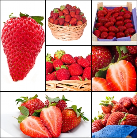 several images with strawberries and muffins with white creamの写真素材