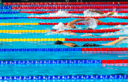 Women free style swimming race on swimming poolの写真素材