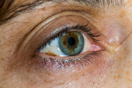 Close up of a middle age  woman green eye and skin aging