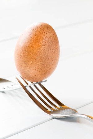 Balanced egg with fork on white backgroundの写真素材