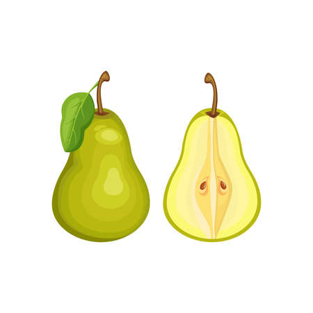 green pear whole and half  isolated on white background. Vector illustration. Healthy food design. ingredients for cooking.のイラスト素材