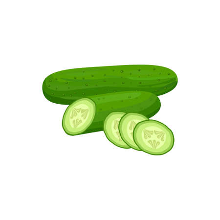 cucumber whole and slices isolated on white background. Vector illustration. Healthy food design. ingredients for cooking.のイラスト素材