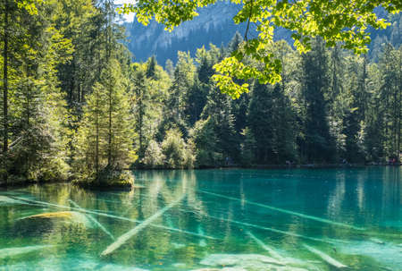 Blausee (Blue lake), Bernese Oberland, Switzerland. Nature landscape with crystal clear lake water